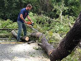 Best Commercial Tree Services  in Woodlawn, VA